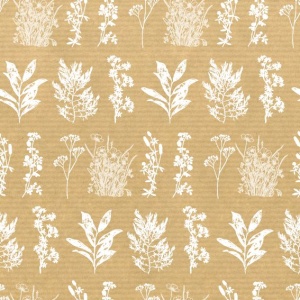 Papierrol – Kraft Herbarium (Plant) – Wit – 50cm x 150m