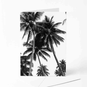 Wenskaart "Palmbomen" – Zwart/Wit Fotoprint – 120 x 170 mm – Met Envelop