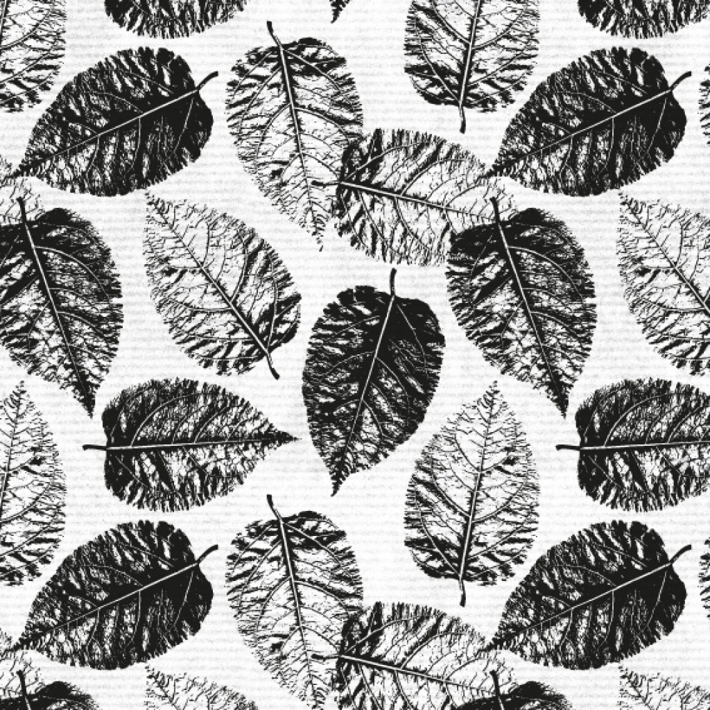 Papierrol – Blad - zwart-wit – 60cm x 100m