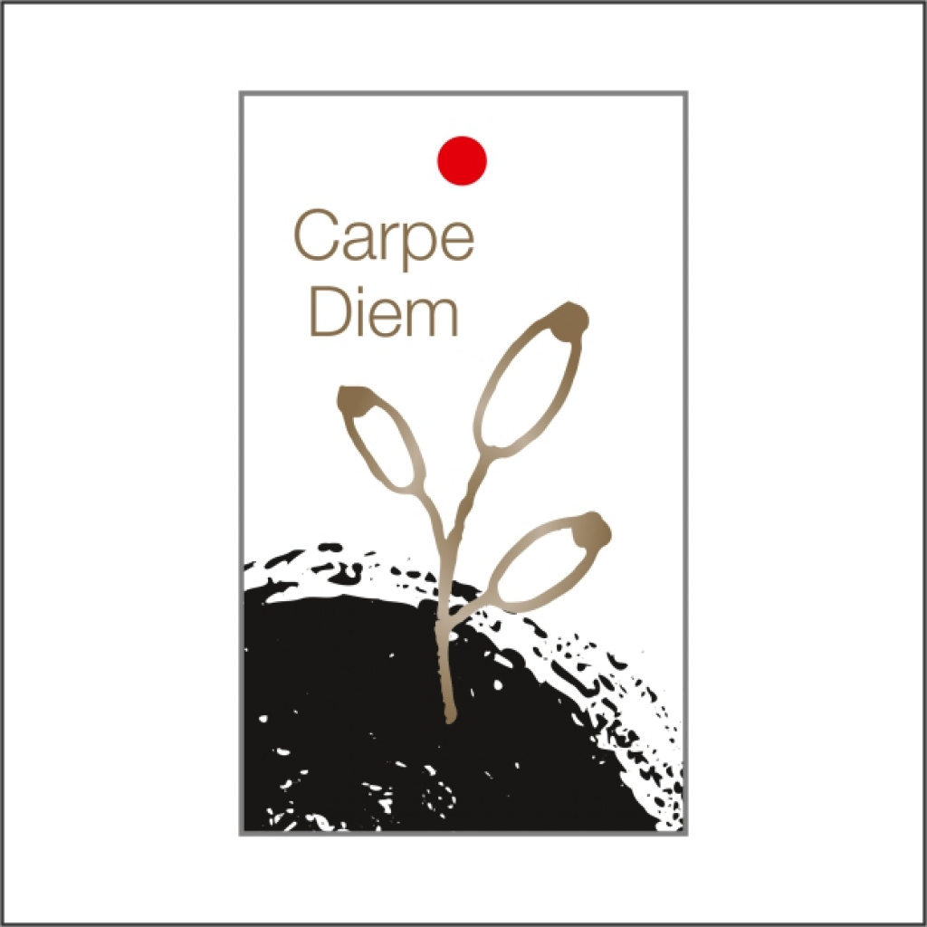 Cadeaukaartje – Carpe diem