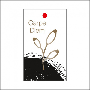 Cadeaukaartje – Carpe diem