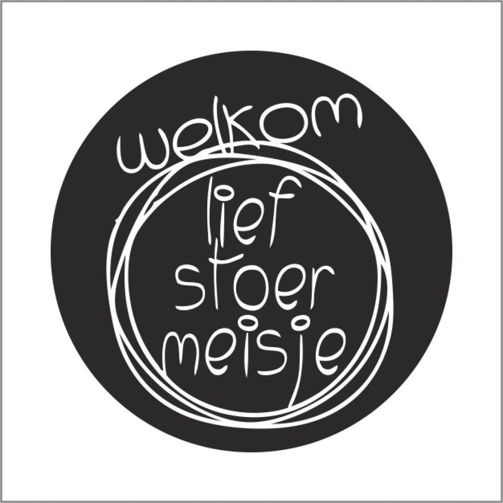 Stickers - Welkom lief stoer meisje - 500 Stuks - Etiketten - Sluitzegel - Geboorte Stickers voor Cadeaus en Verpakkingen