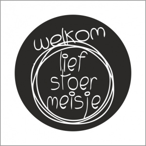 Stickers - Welkom lief stoer meisje - 500 Stuks - Etiketten - Sluitzegel - Geboorte Stickers voor Cadeaus en Verpakkingen