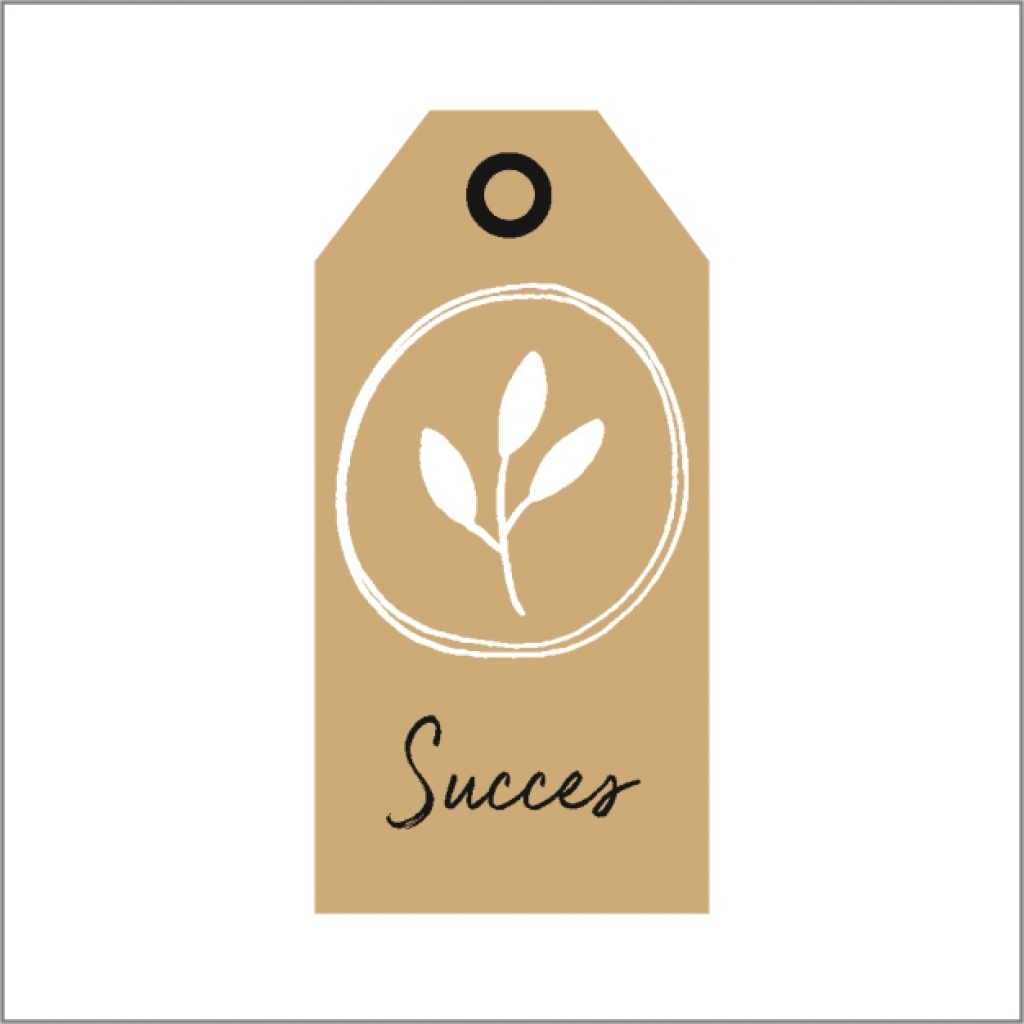 Cadeaukaartje – Succes