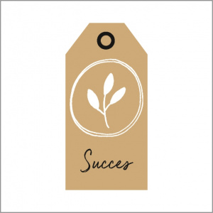 Cadeaukaartje – Succes