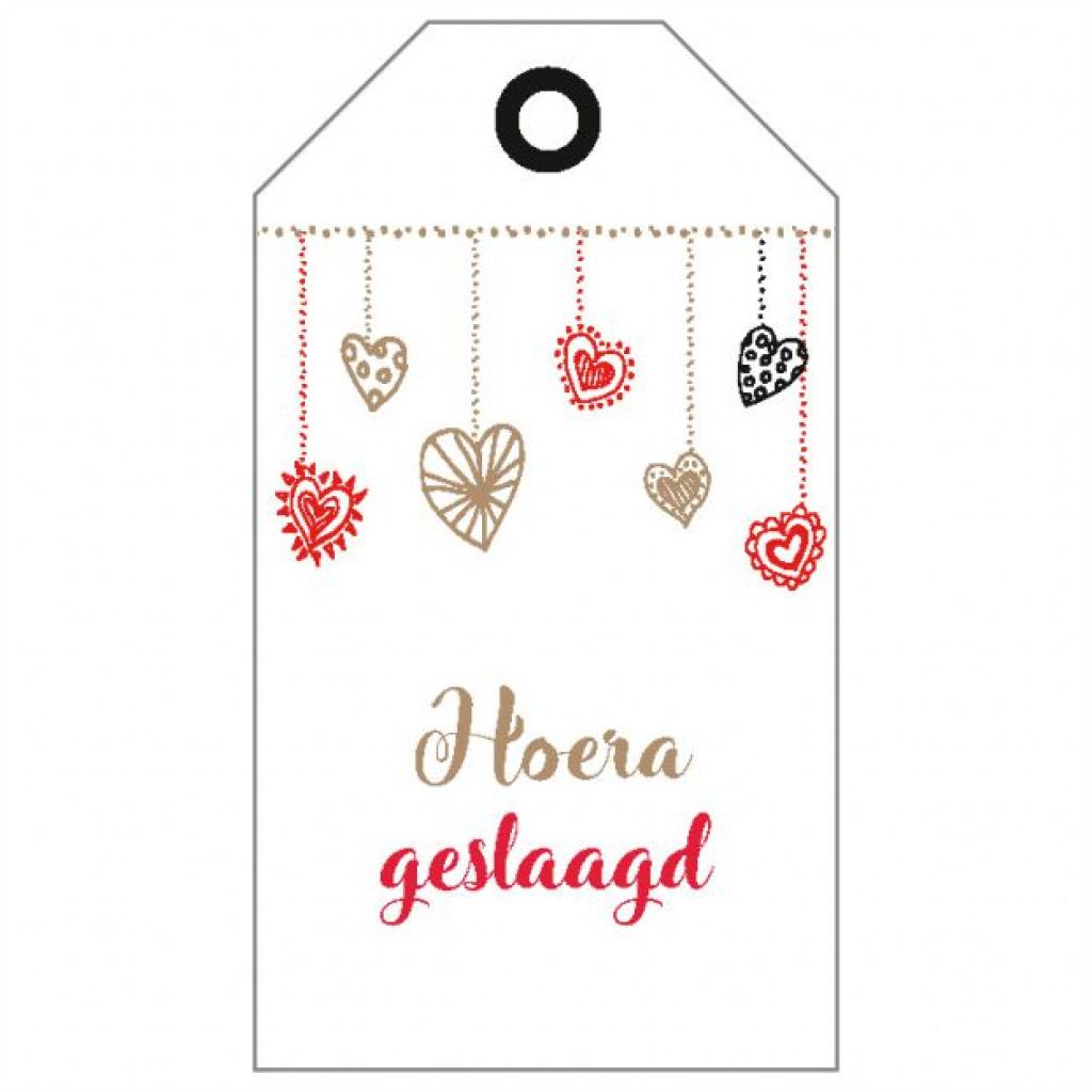 Hoera geslaagd