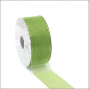 Organza Lint – lente groen – 25mm x 50 meter