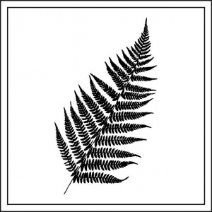Wenskaart “Fern” – 150 x 150 mm – Inclusief Envelop