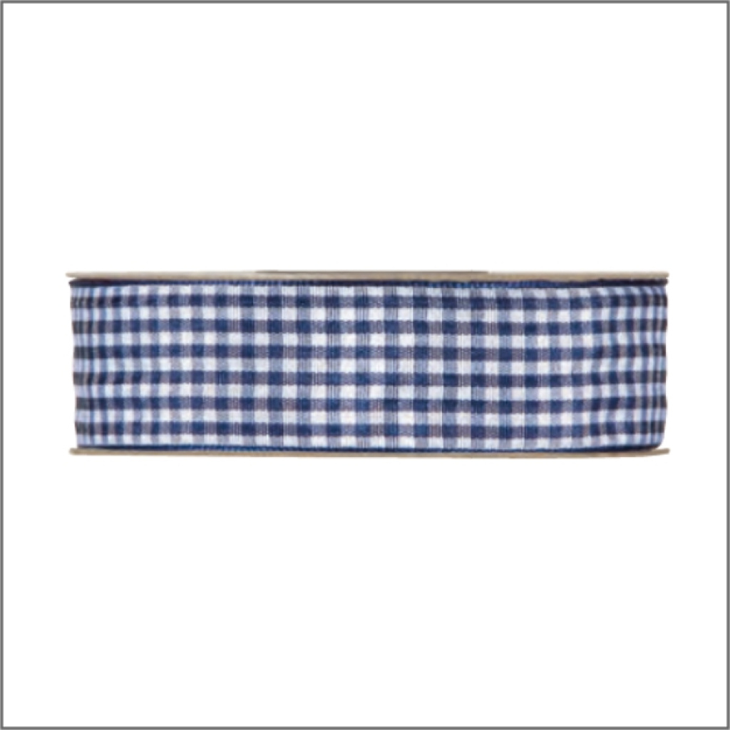 Ruitlint – blauw – 25mm x 20 meter