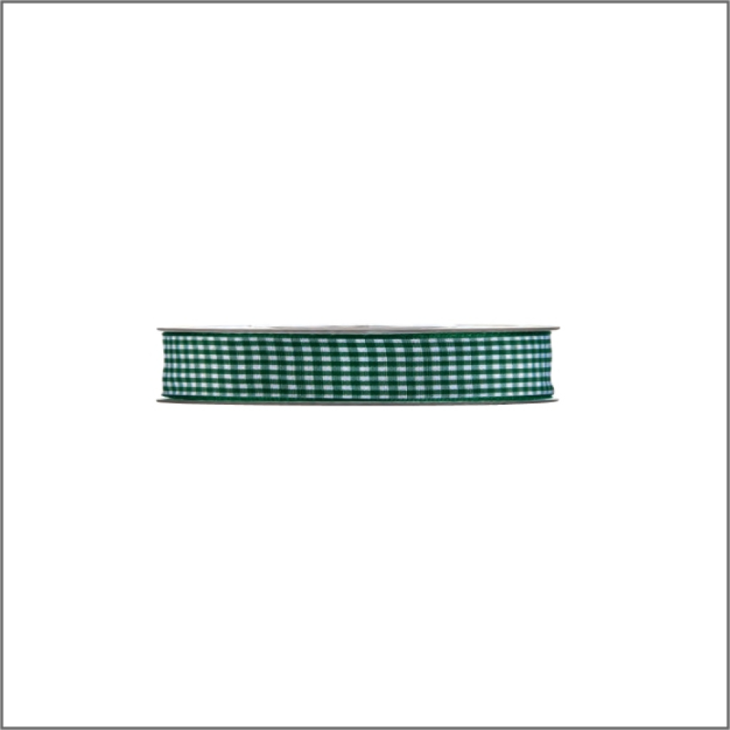 Ruitlint – groen – 10mm x 20 meter