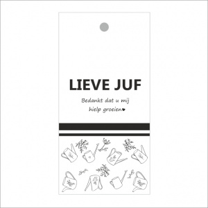 Cadeaukaartje – Lieve juf