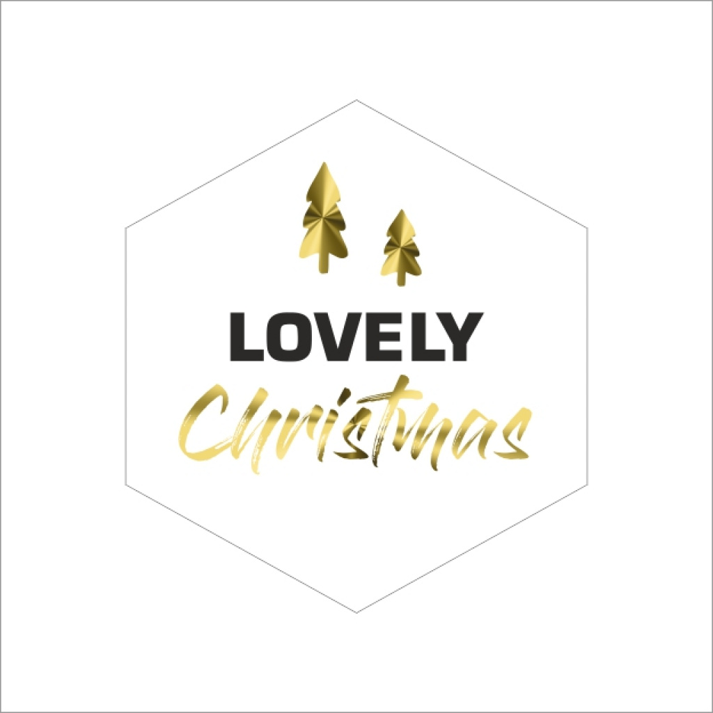 Stickers – Lovely Christmas – 39 x 41mm – 250 Stuks – Sluitzegel – Voor Cadeaus en Verpakkingen
