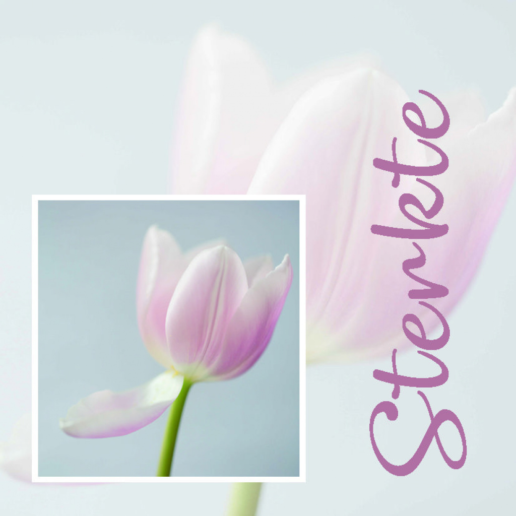 Cadeaukaartje – sterkte