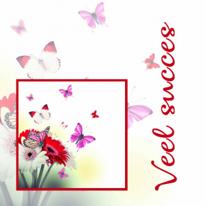 Cadeaukaartje – Veel succes