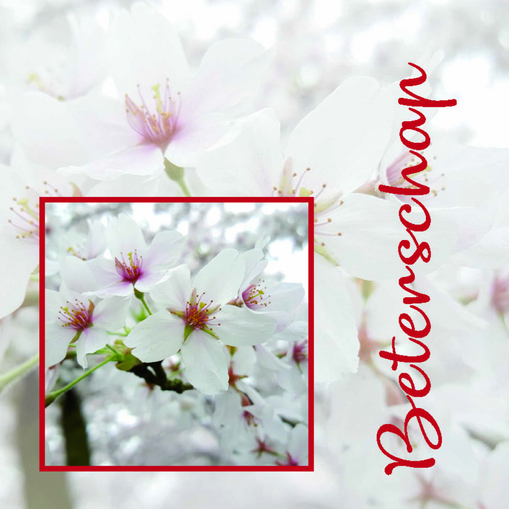 Cadeaukaartje – Beterschap