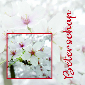 Cadeaukaartje – Beterschap