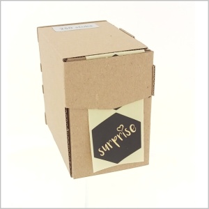 250x - "Surprise" - Wensetiketten - Gelegenheidsetiketten - Sluitzegels - Zeshoekig - 39x41mm - Zwart met Goud Metallic Opdruk - Stickers