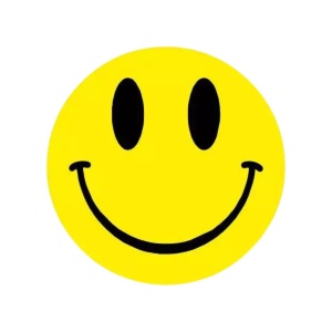 25x - Smile / Happy – Geel/Zwart – 47 mm - Stickers