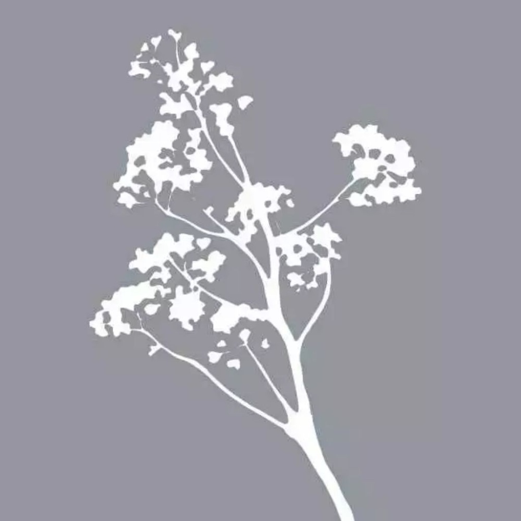 Cadeaukaartje – blanco – tak