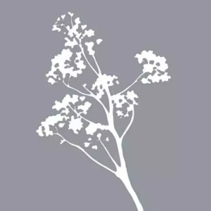 Cadeaukaartje – blanco – tak