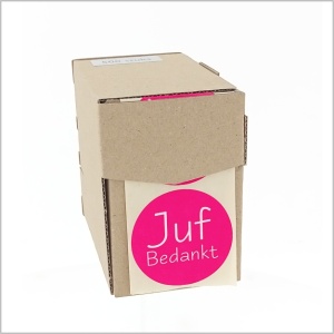 25x - Stickers - "Juf Bedankt" - Wensetiketten - Bedankstickers - Ø47mm - Fluor Pink met Witte Opdruk - Stickers