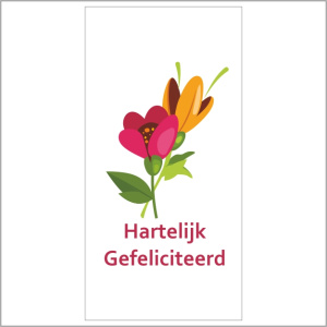 Cadeaukaartje – hartelijk gefeliciteerd