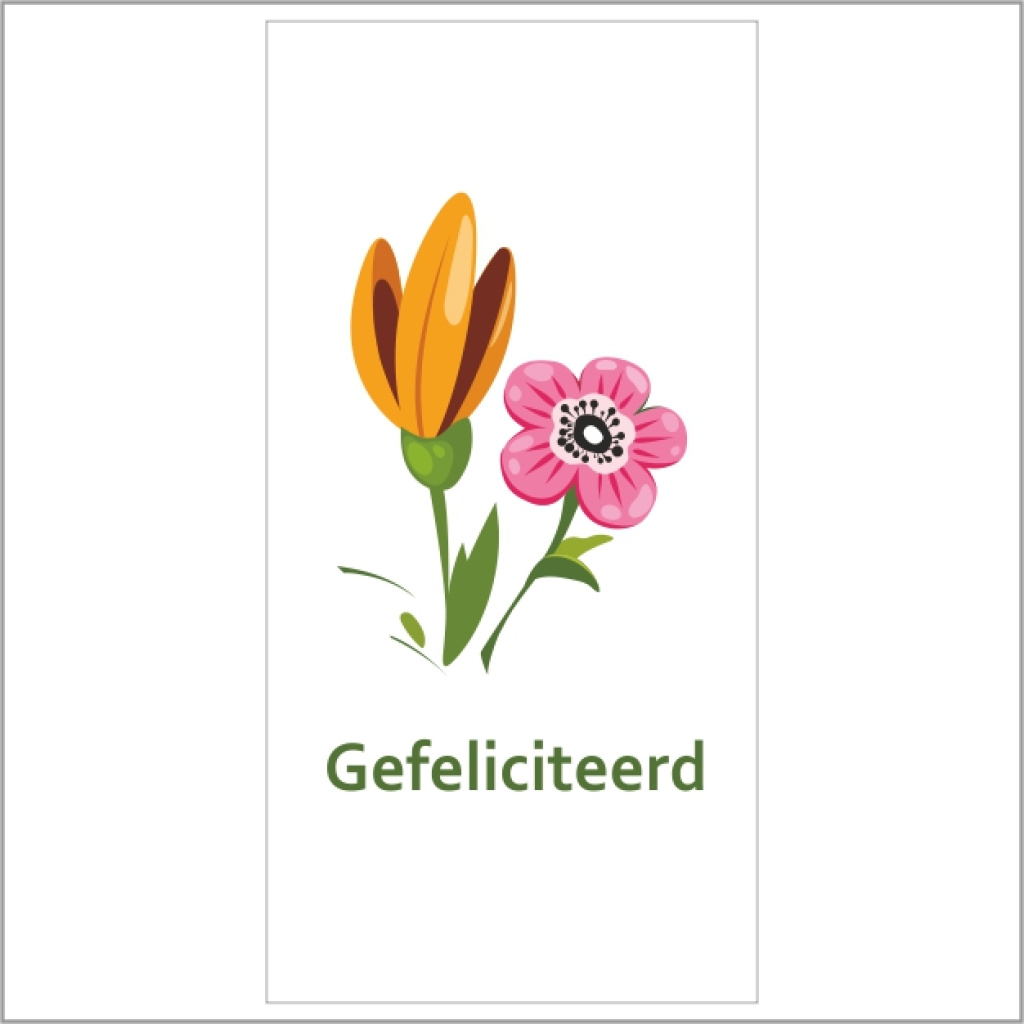 Cadeaukaartje – gefeliciteerd