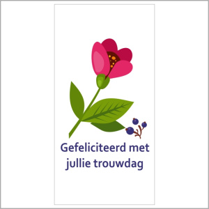 Cadeaukaartje – gefeliciteerd met jullie trouwdag
