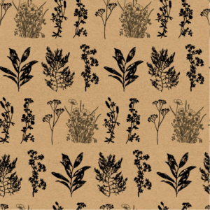 Papierrol – Kraft Herbarium (Plant) – Zwart – 50cm x 150m
