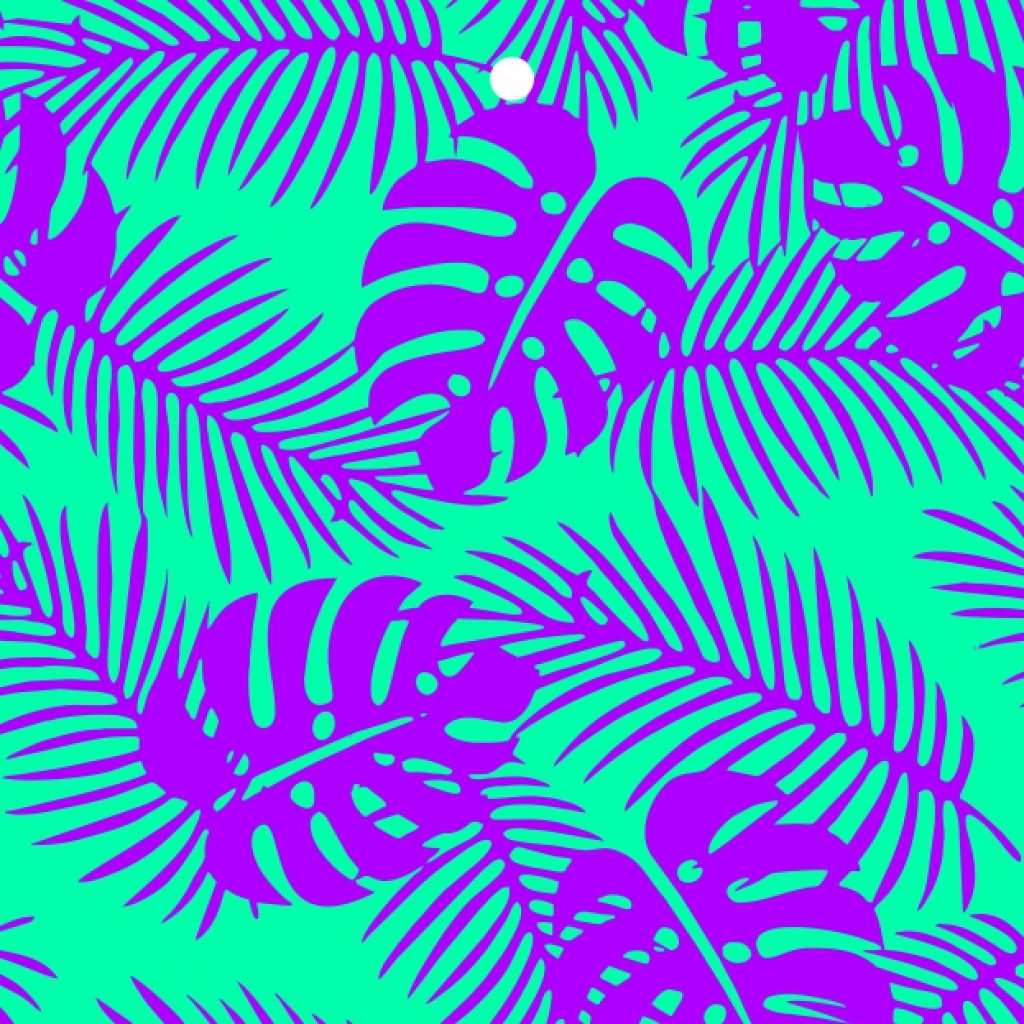 Cadeaukaartje – Neon “Blanco”