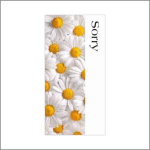cadeaukaartje –  Sorry