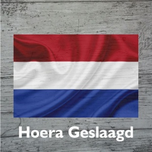 Geslaagd - einde schooljaar