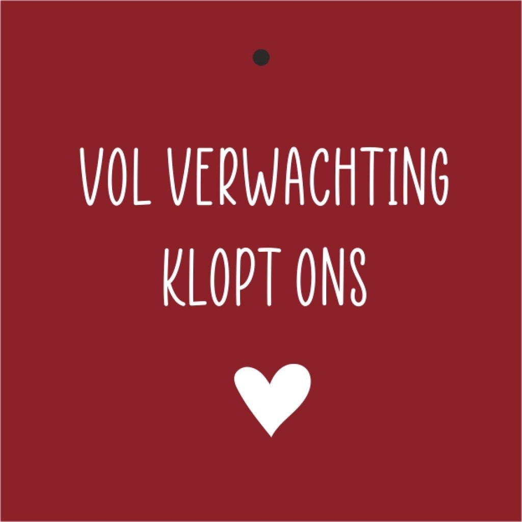 Cadeau label – Sinterklaas - Vol verwachting..