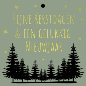 Cadeaukaartje – “Fijne kerstdagen & een gelukkig nieuwjaar”