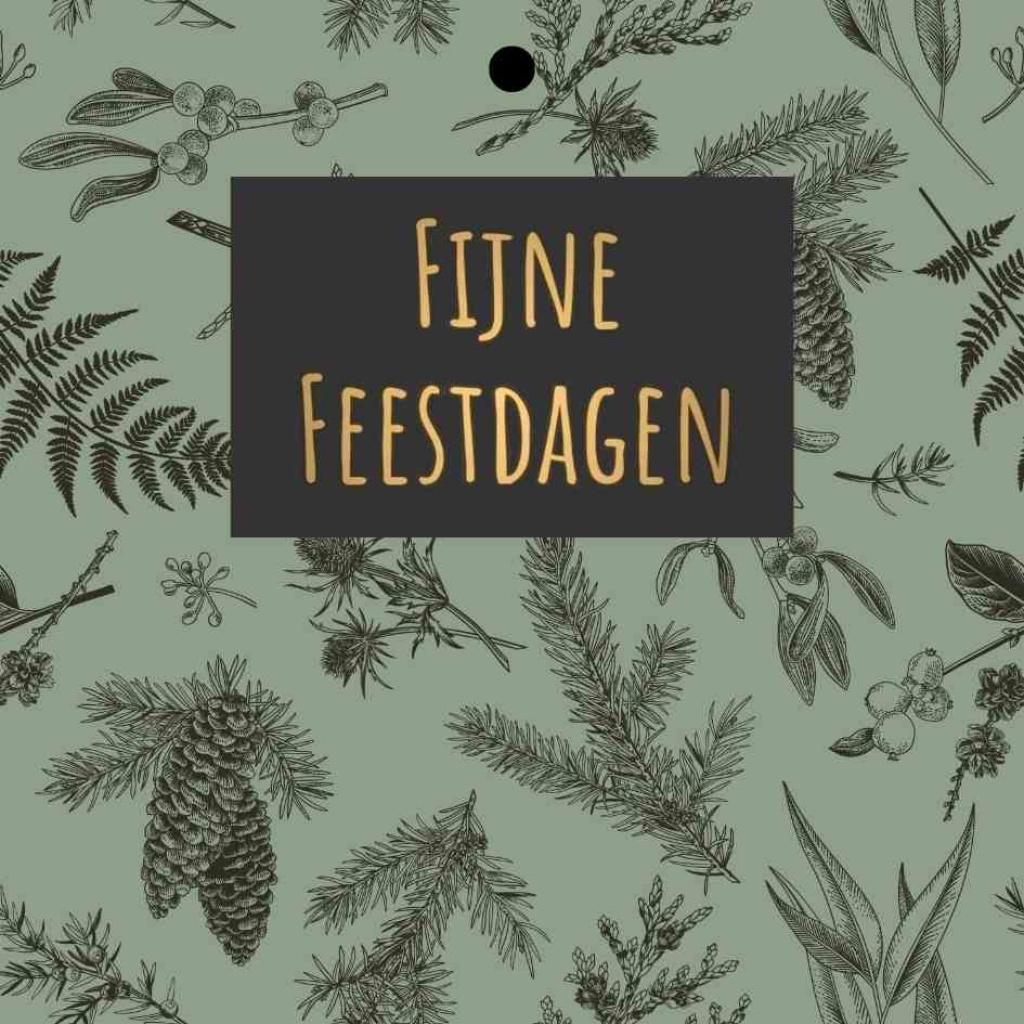 Cadeaukaartje – Fijne Feestdagen