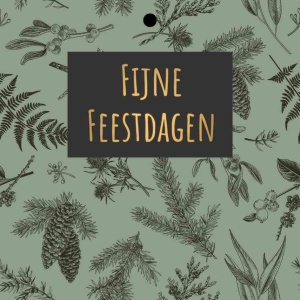 Cadeaukaartje – Fijne Feestdagen
