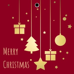 Cadeaukaartje – Merry Christmas