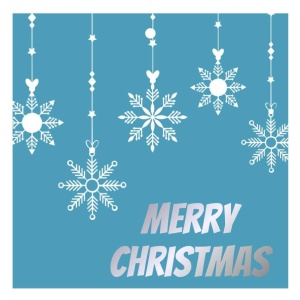 Cadeaukaartje - Merry Christmas Sneeuwvlokken - 20 Stuks