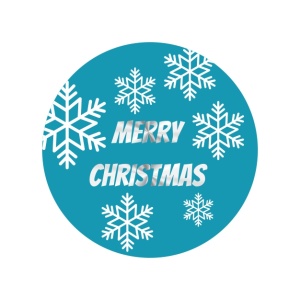 Stickers – Merry Christmas – IJsblauw – O39mm – 250 Stuks – Sluitzegel – Voor Cadeaus en Verpakkingen